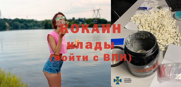 гидра Надым