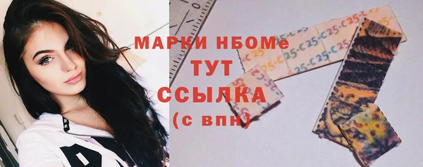 гидра Надым