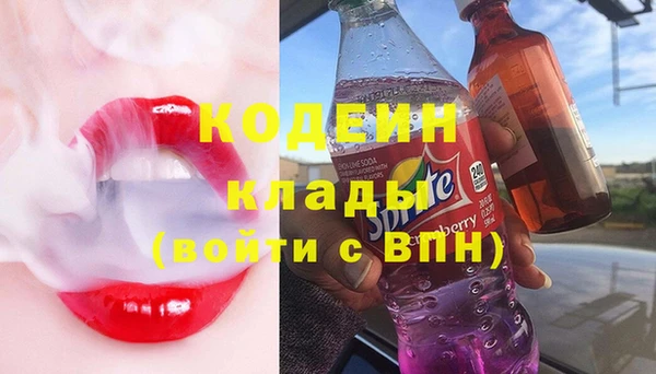 гидра Надым