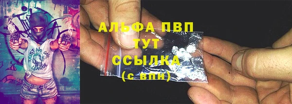 гидра Надым