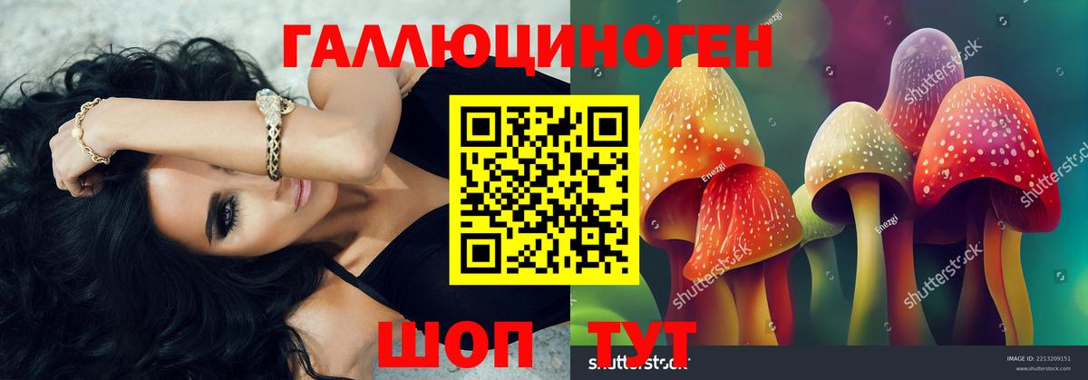 Галлюциногенные грибы GOLDEN TEACHER Тында