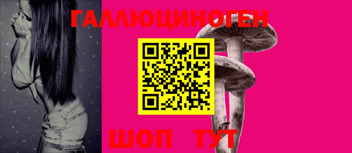 Псилоцибиновые грибы MAGIC MUSHROOMS  Вход с VPN  Тында  Псилоцибиновые грибы GOLDEN TEACHER 